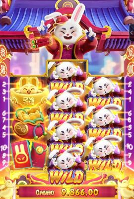Suporte perfect pay